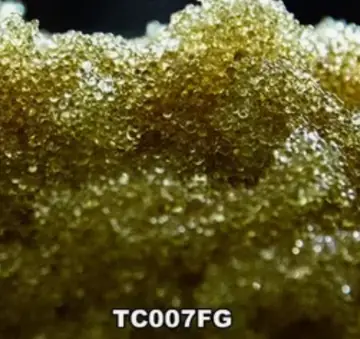 Смола ионообмееная TC007FG